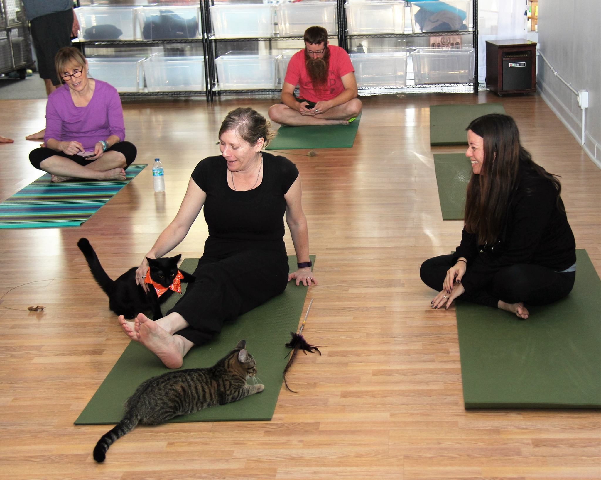 October 2016 Yoga7.jpg