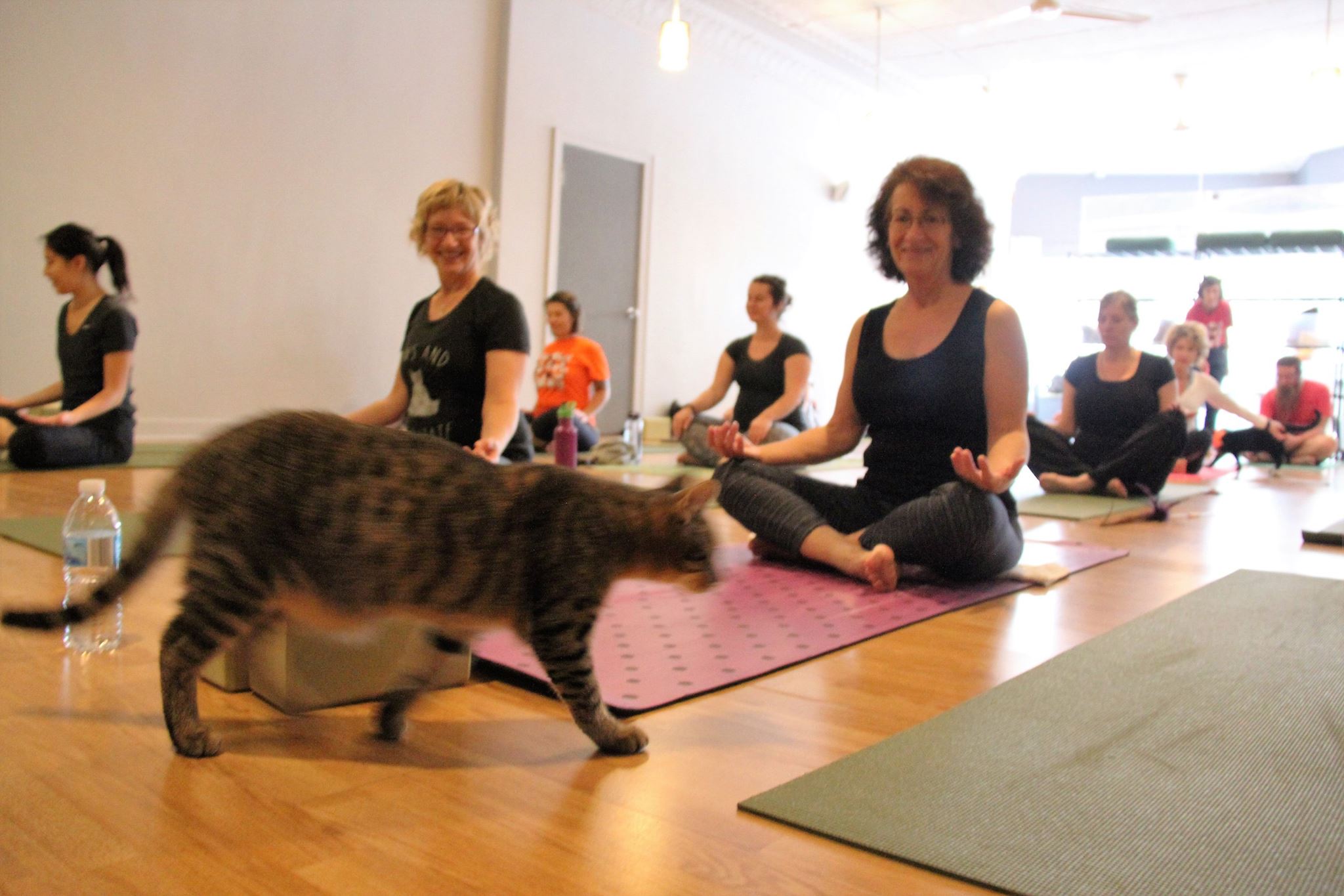 October 2016 Yoga11.jpg