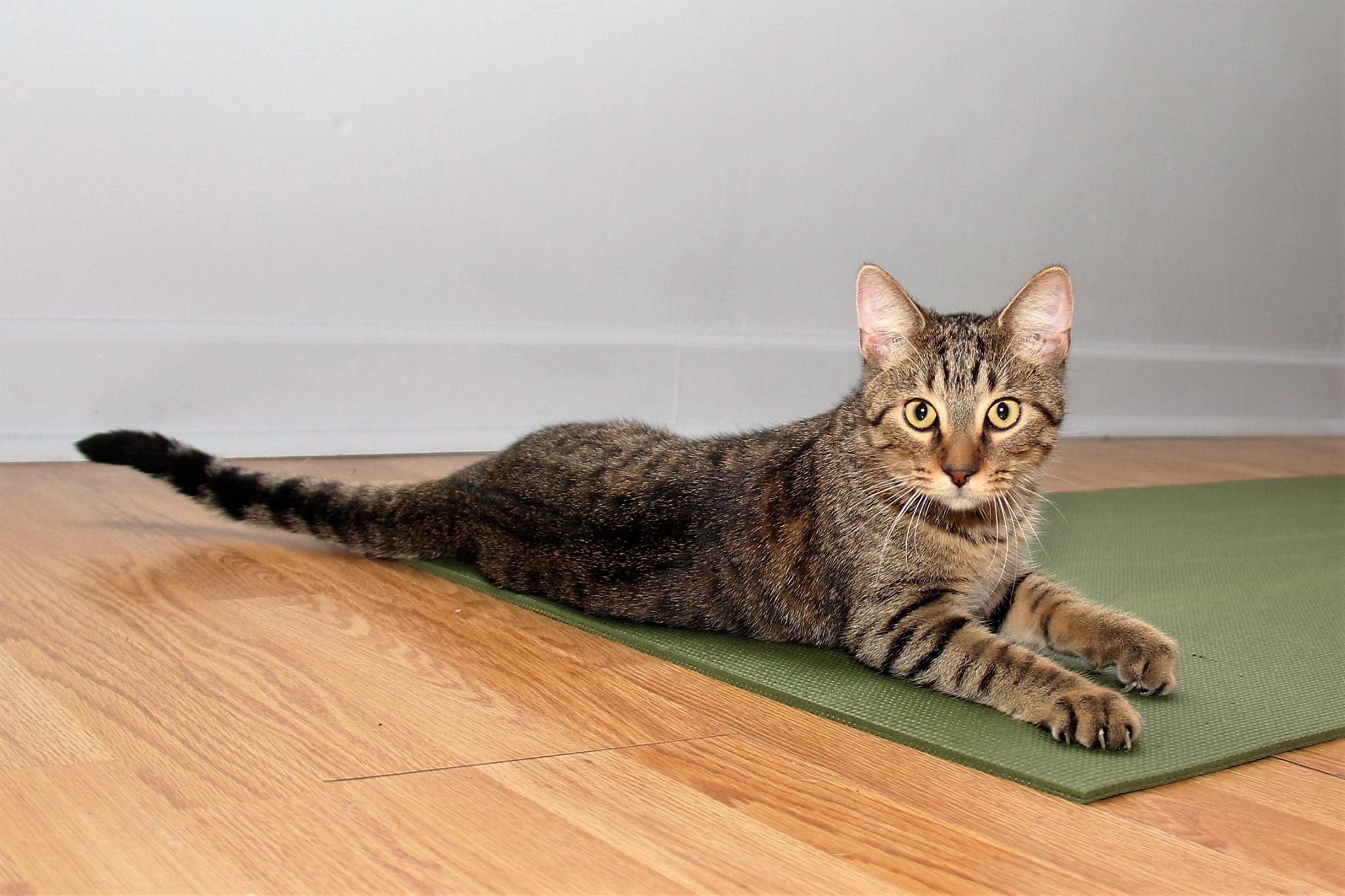 October 2016 Yoga10.jpg
