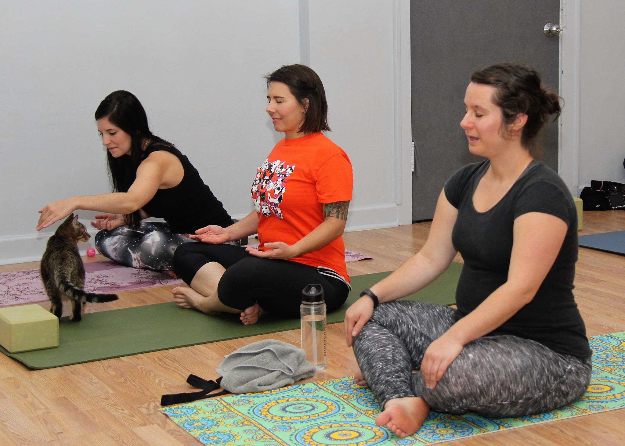 October 2016 Yoga13.jpg