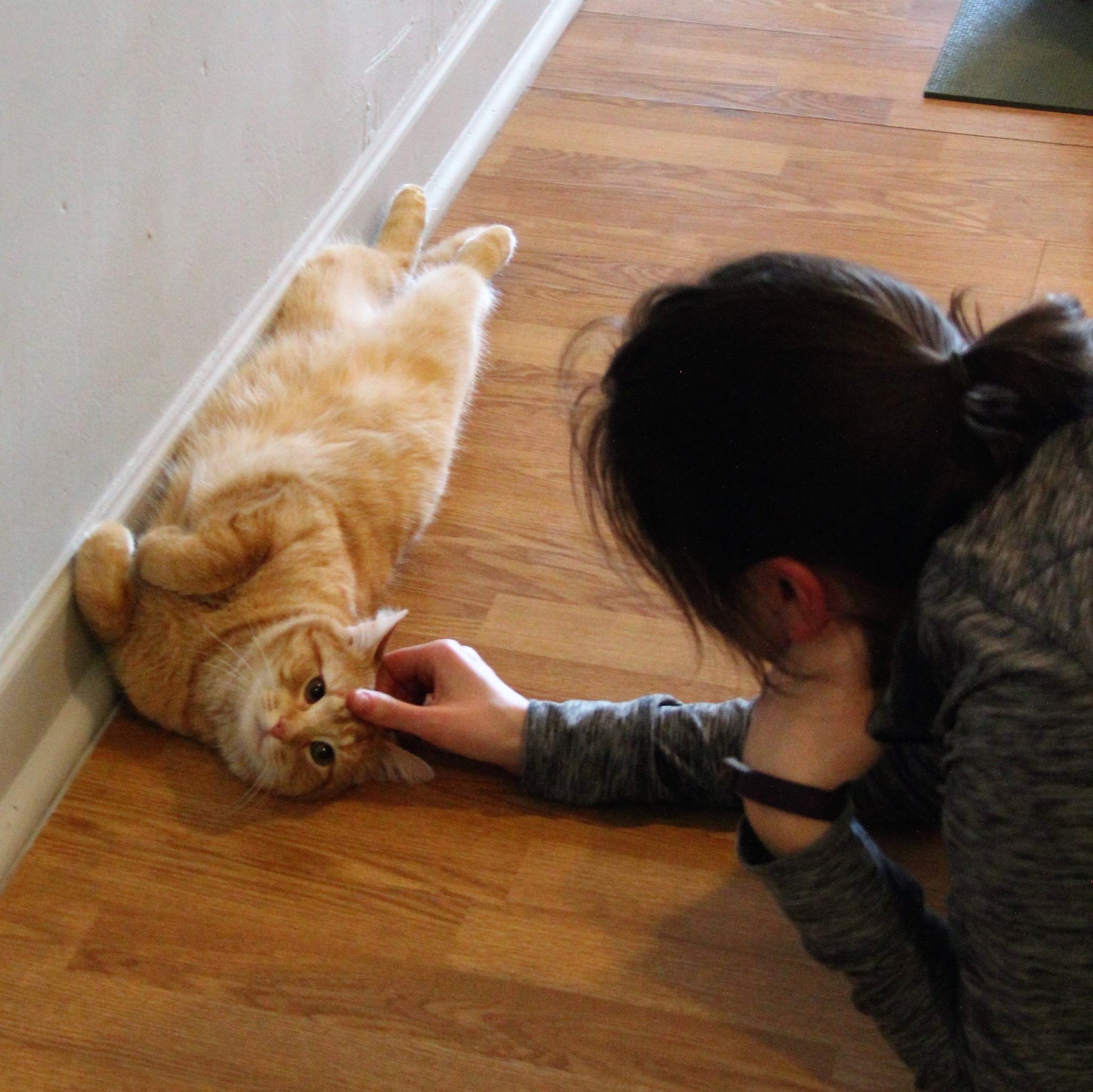 Cat Yoga Feb 2017_4.jpg