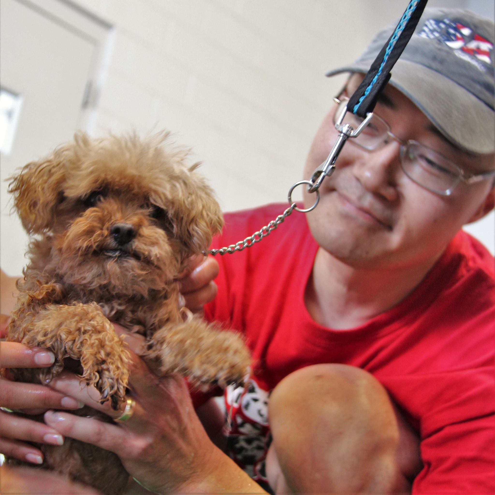DogWash_2016_7.jpg