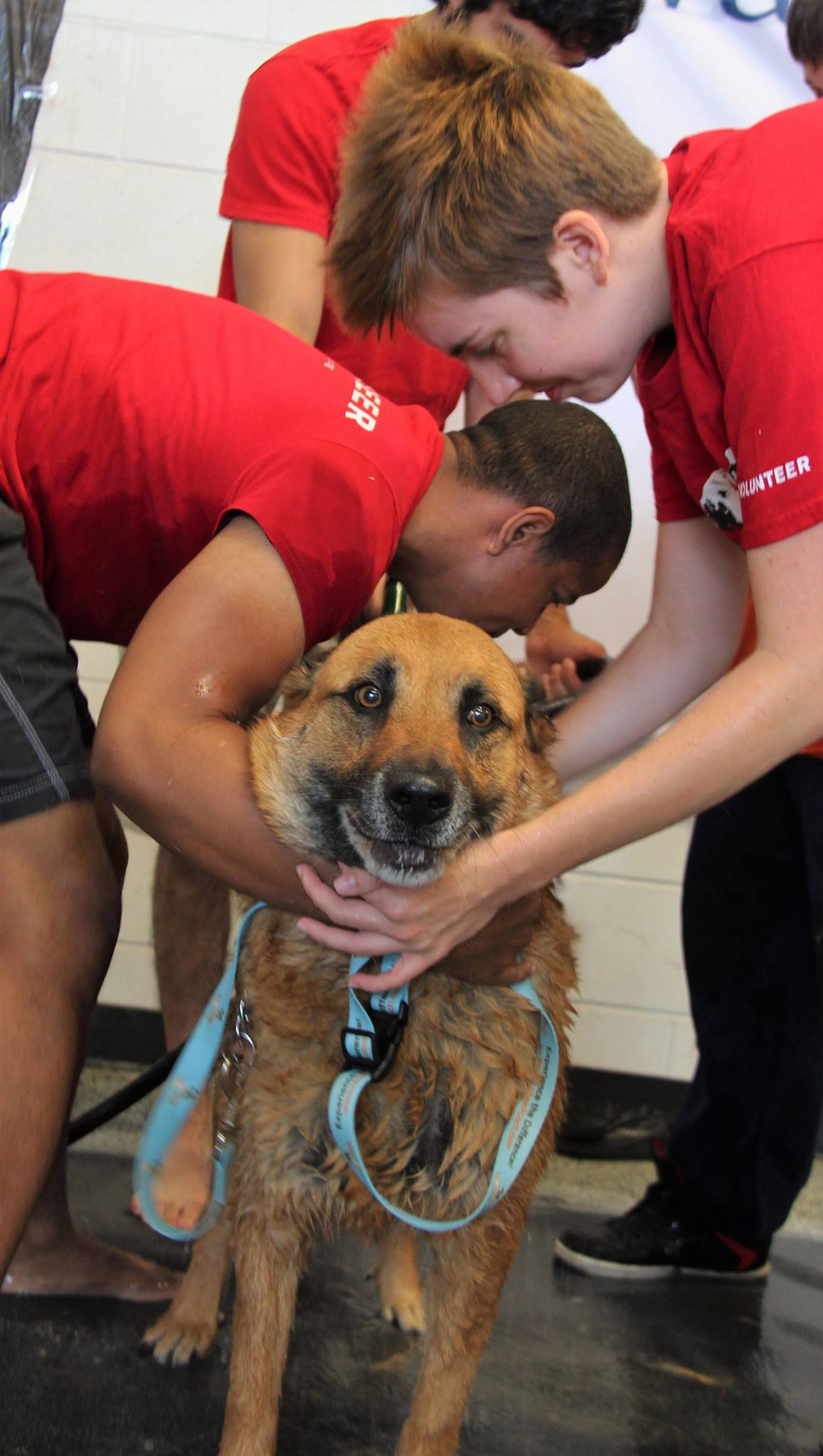DogWash_2016_10.jpg