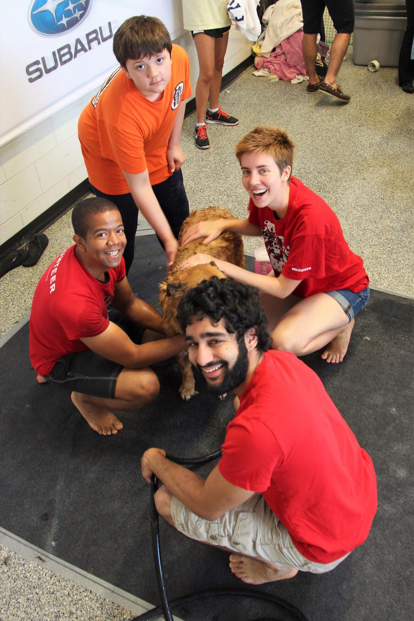 DogWash_2016_9.jpg