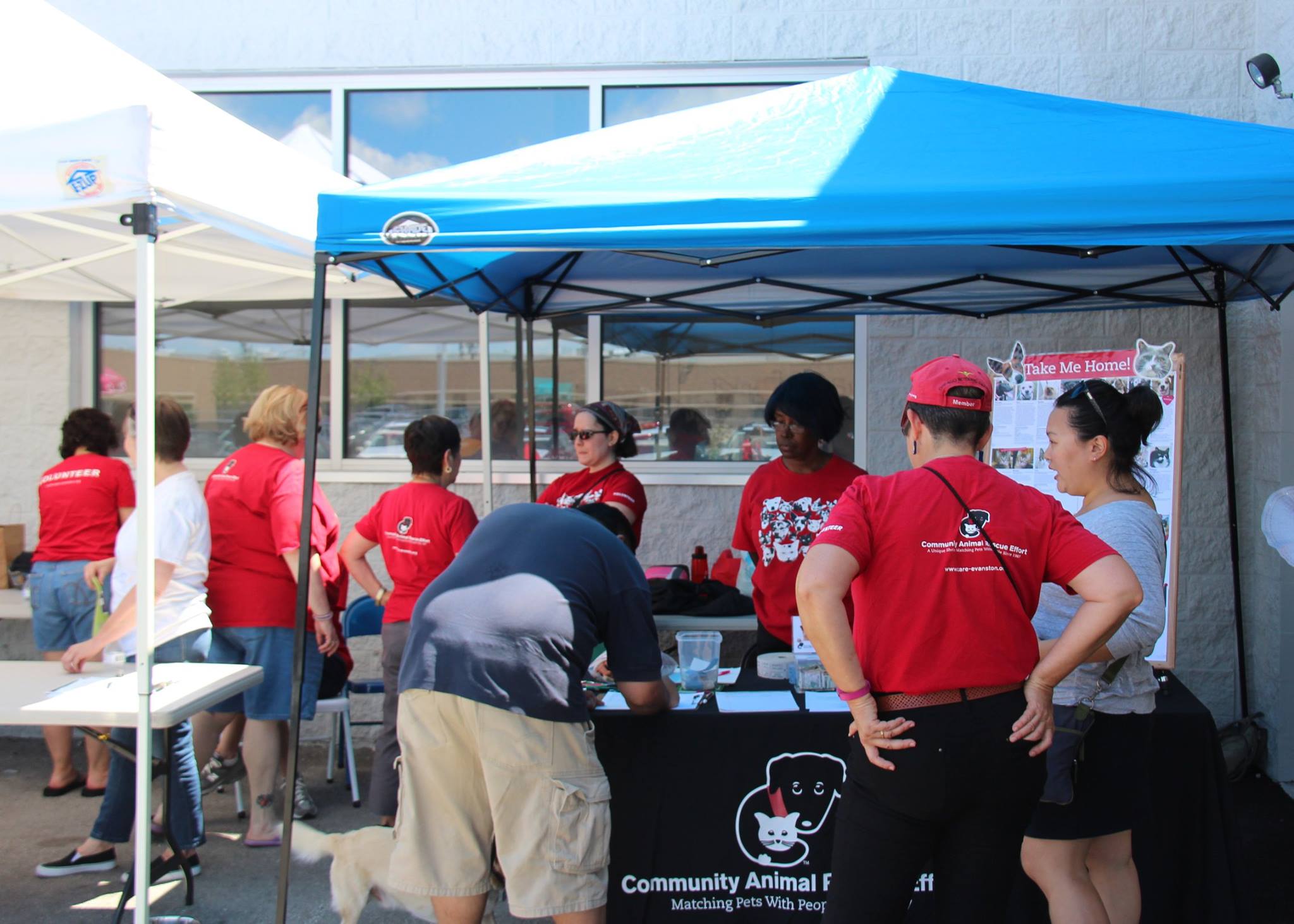DogWash_2016_21.jpg