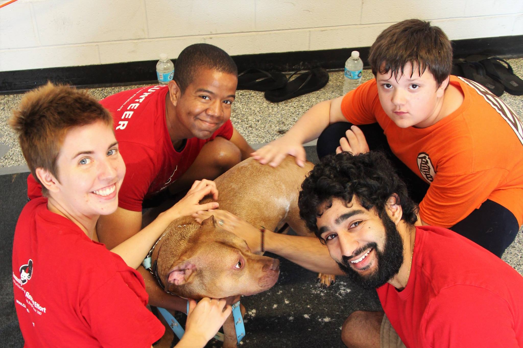 DogWash_2016_24.jpg
