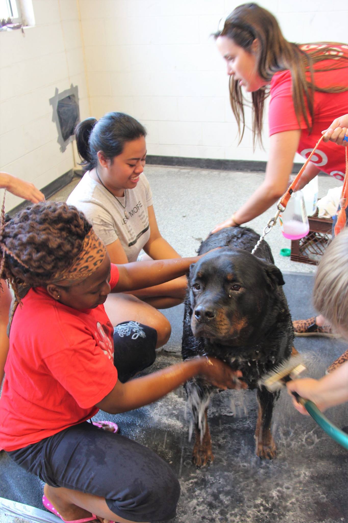 DogWash_2016_25.jpg