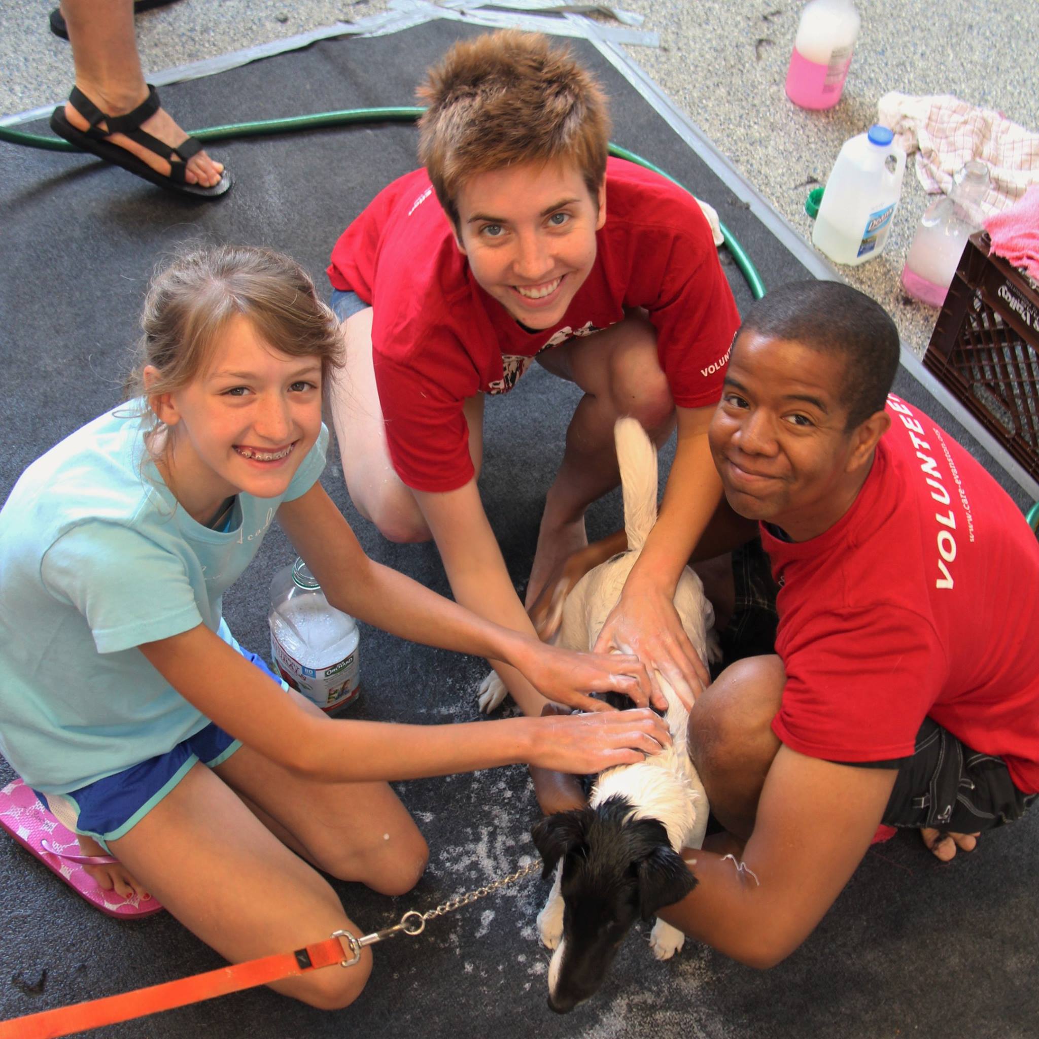 DogWash_2016_39.jpg