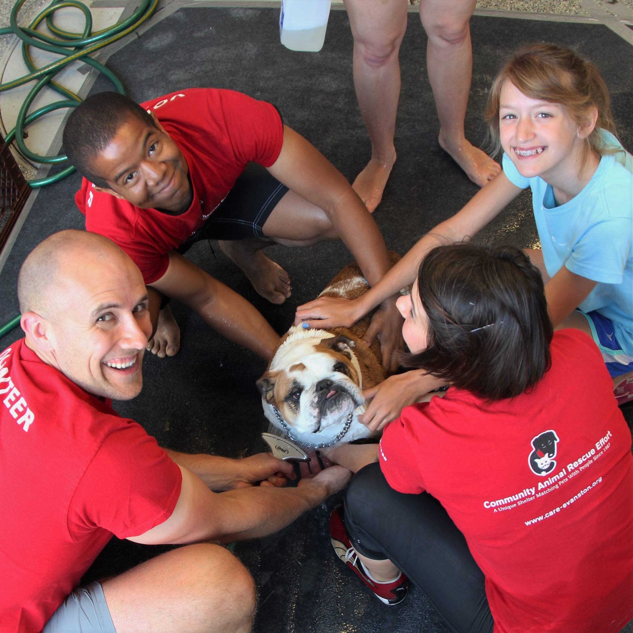 DogWash_2016_41.jpg