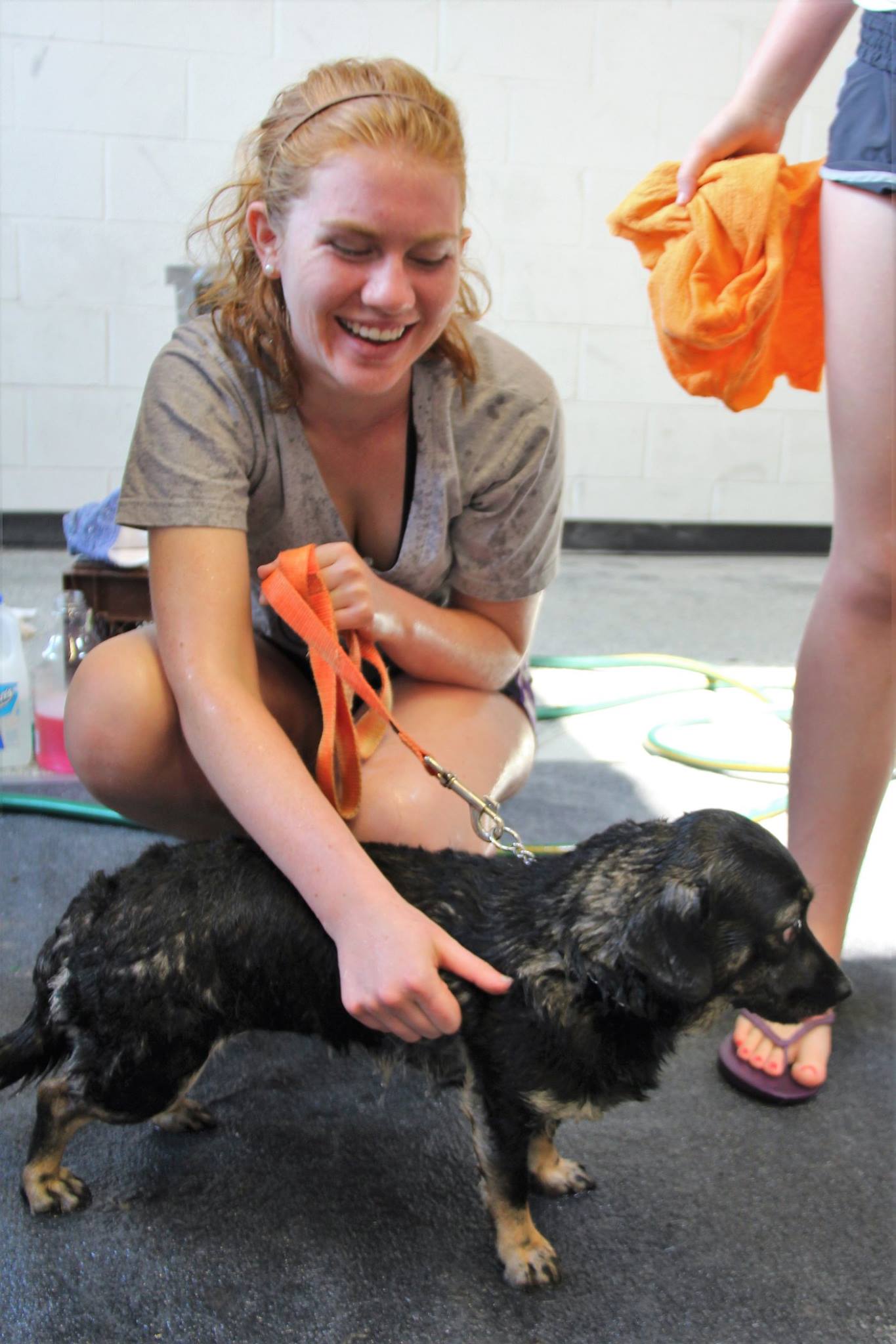 DogWash_2016_12.jpg