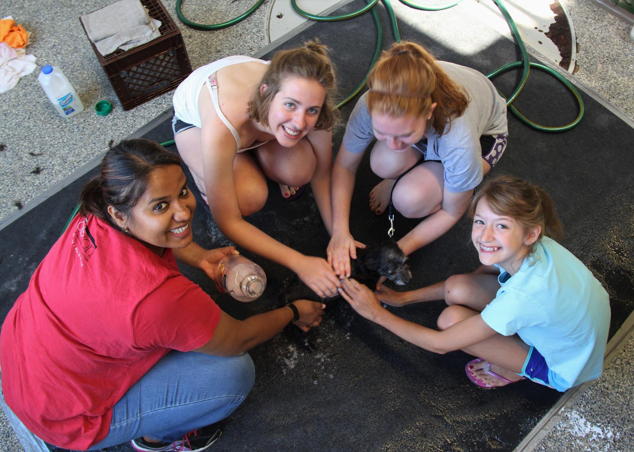 DogWash_2016_18.jpg