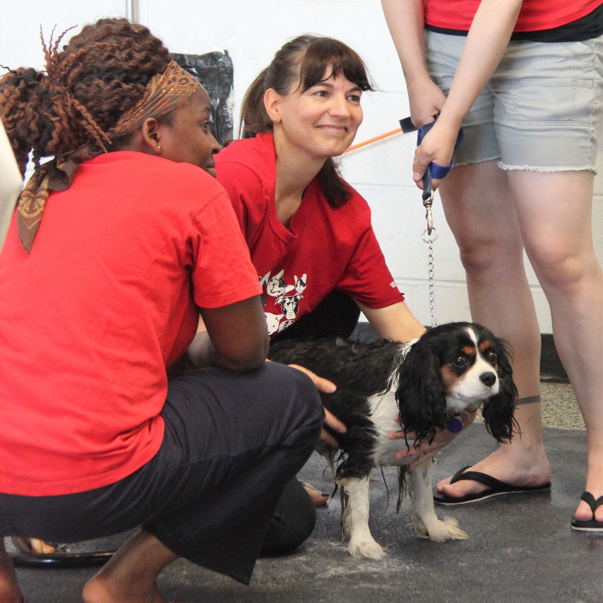 DogWash_2016_38.jpg