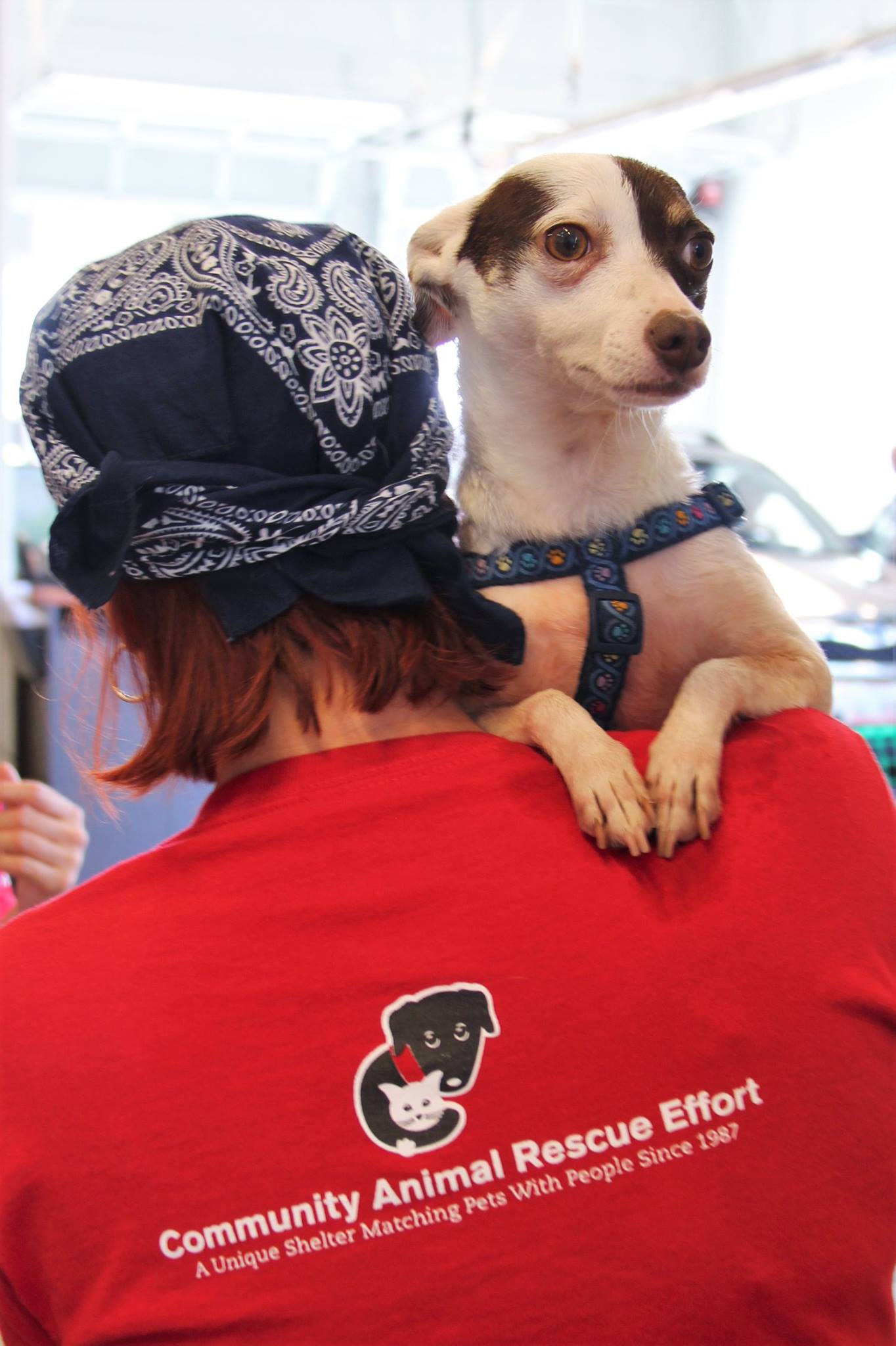 DogWash_2016_47.jpg