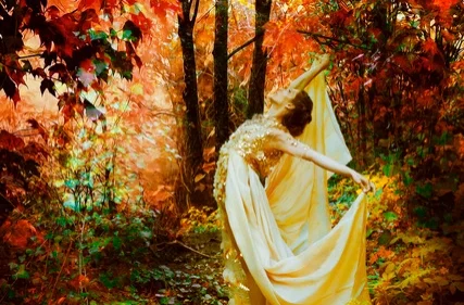 Viet Ha Tran Photography