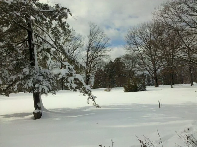 Winter.jpg