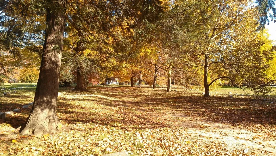 Fall9.jpg