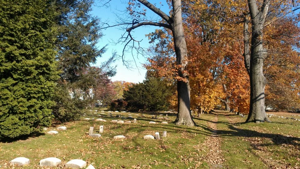 Fall10.jpg