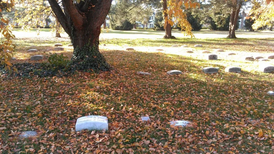 Fall8.jpg