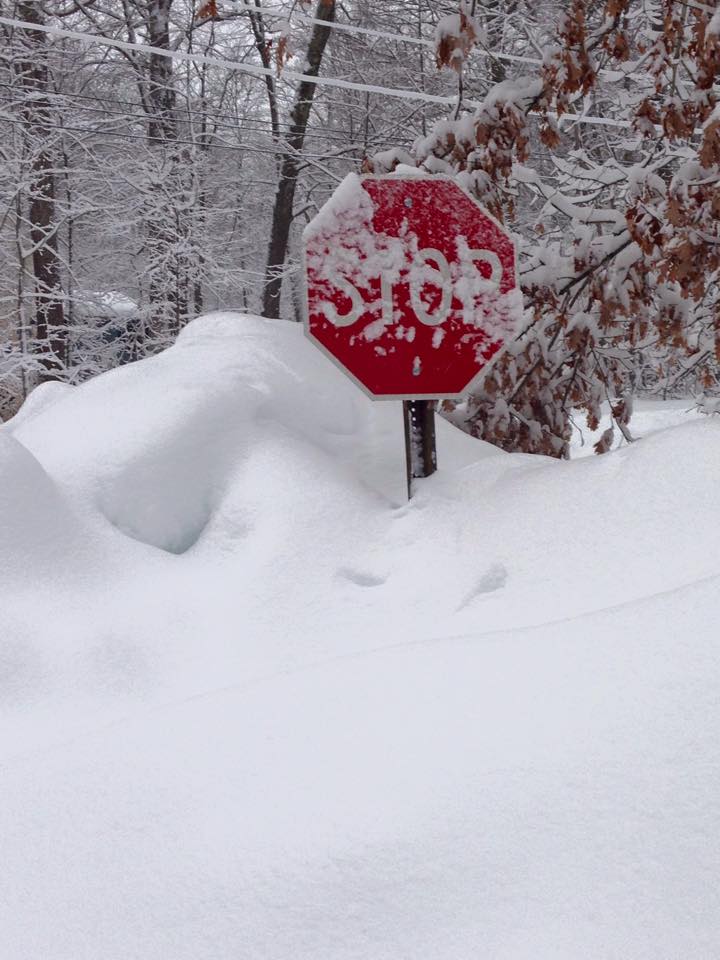 Here is a picture taken in my neighborhood not too long ago...can you tell that I am anxious for Spring by this picture? {insert emphatic nod here}