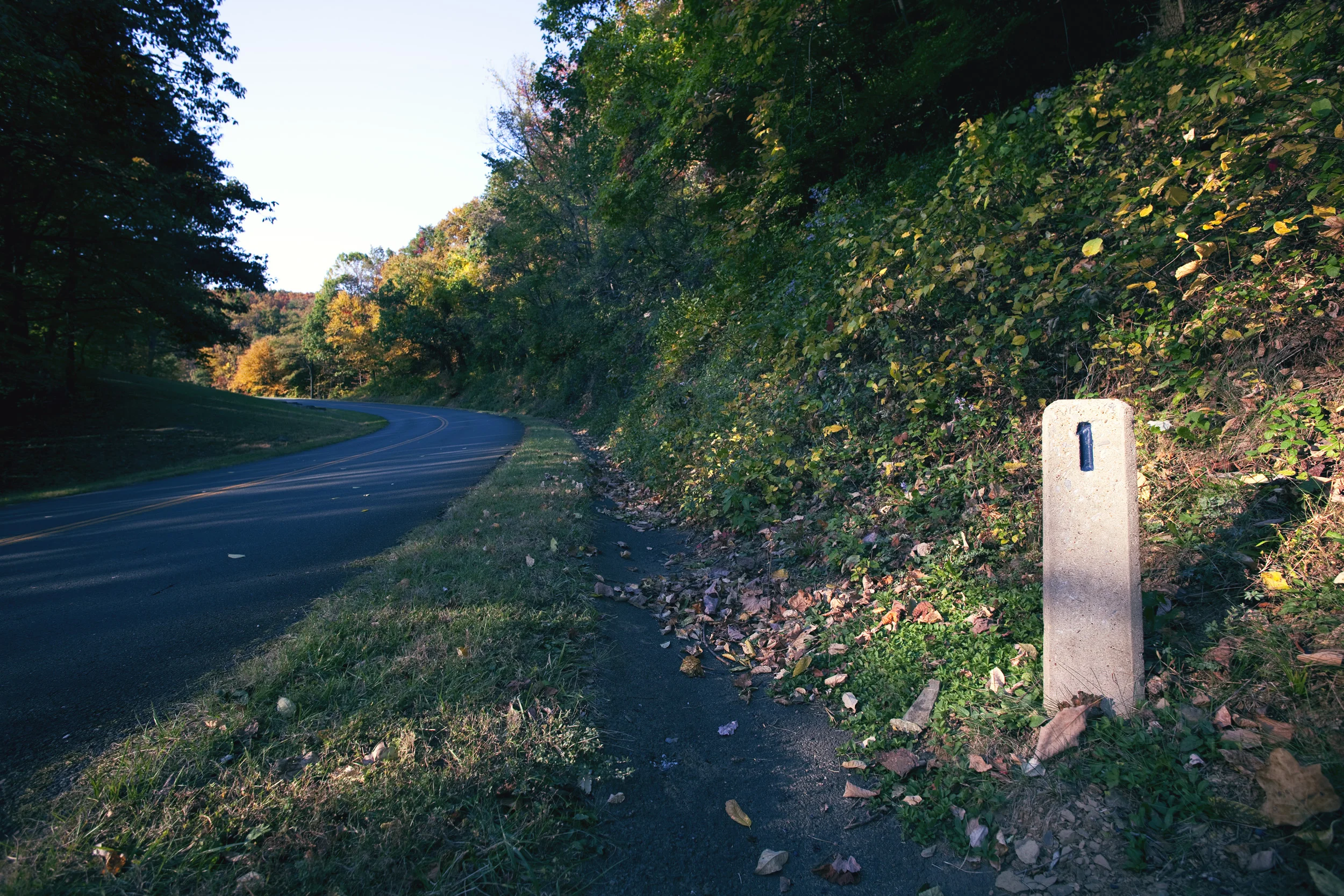 IMG_6538-Edit.jpg