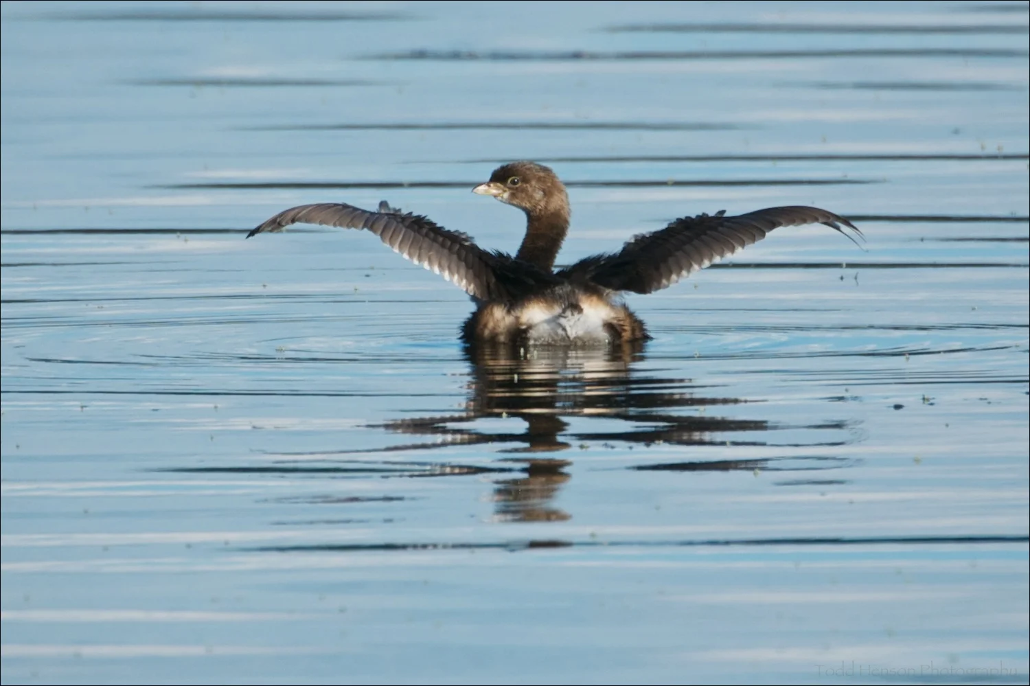 20130906_17-27-57_443_THP.jpg