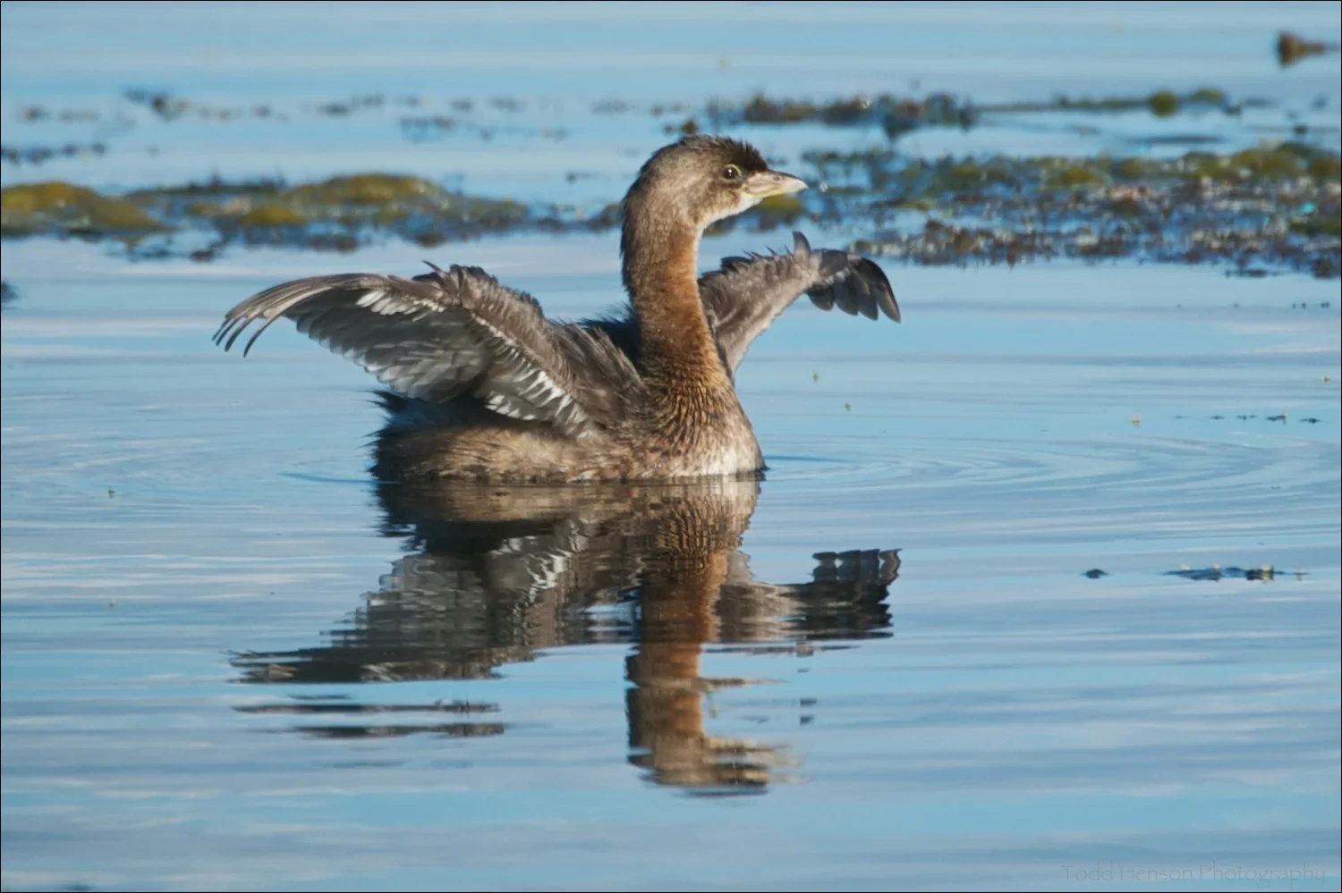 20130906_17-33-44_528_THP.jpg