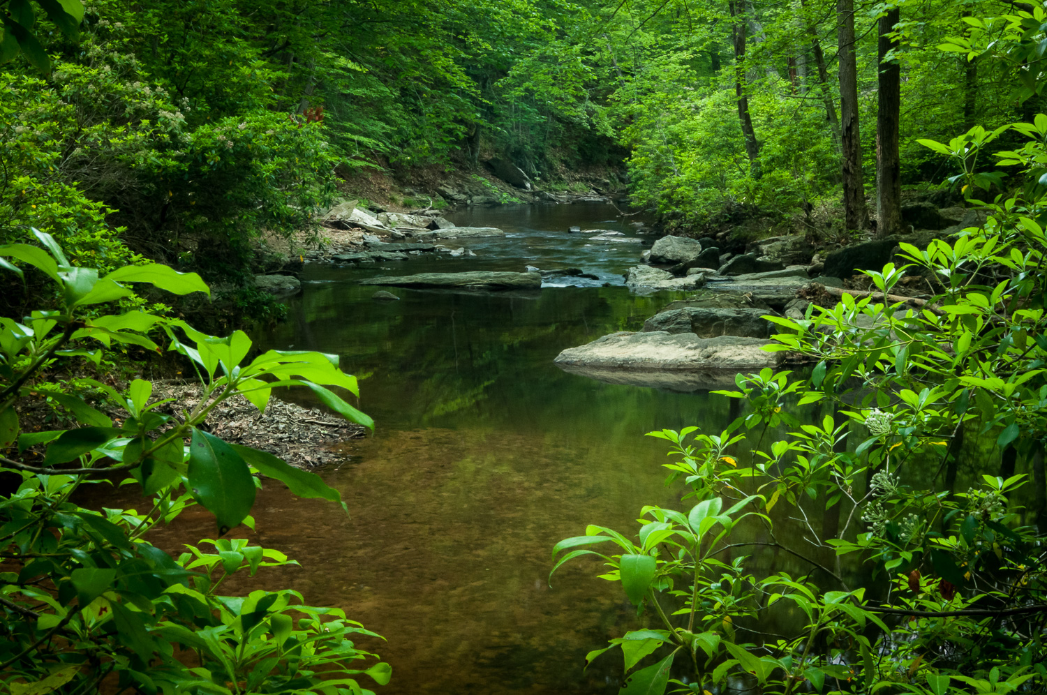 Here is the natural light image
