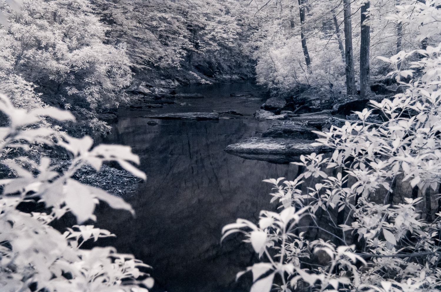 Here is the infrared light image