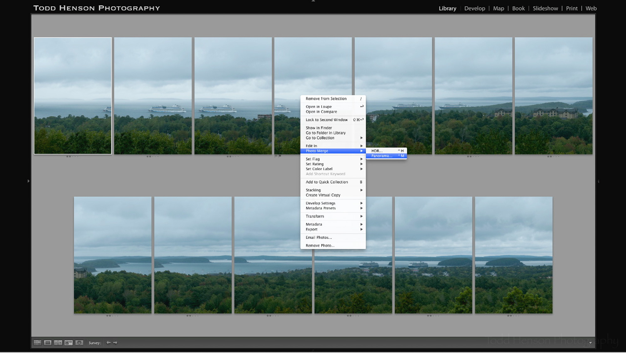 Step 2: Click Photo Merge, then Panorama