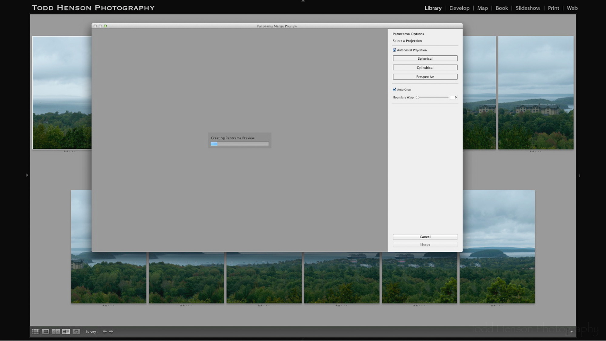 Step 3: Panorama Merge Preview
