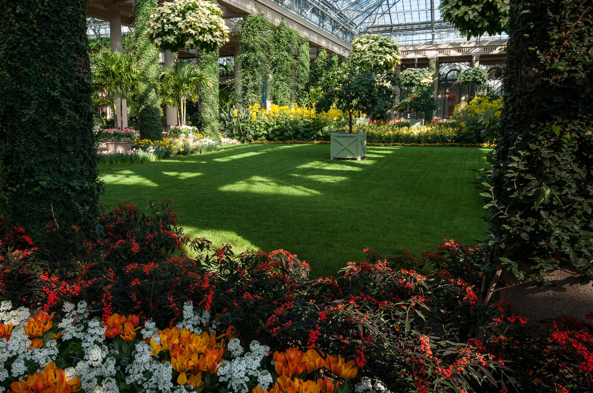 Another view inside the Conservatory