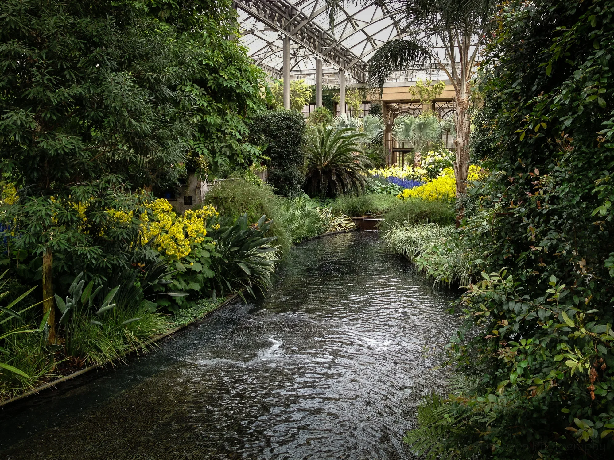 3: Streams inside Longwood Gardens Conservatory