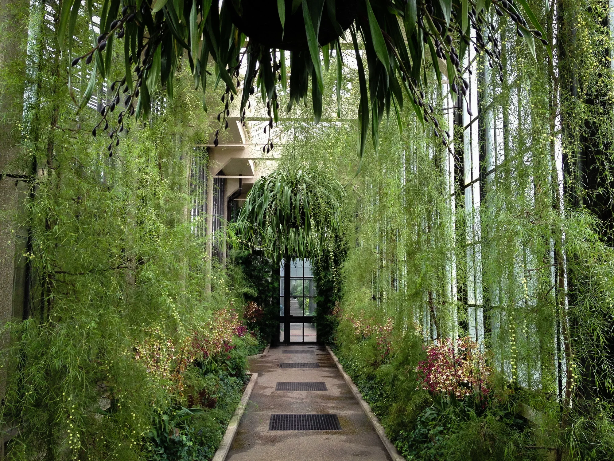 5: Lots of greenery in hallway