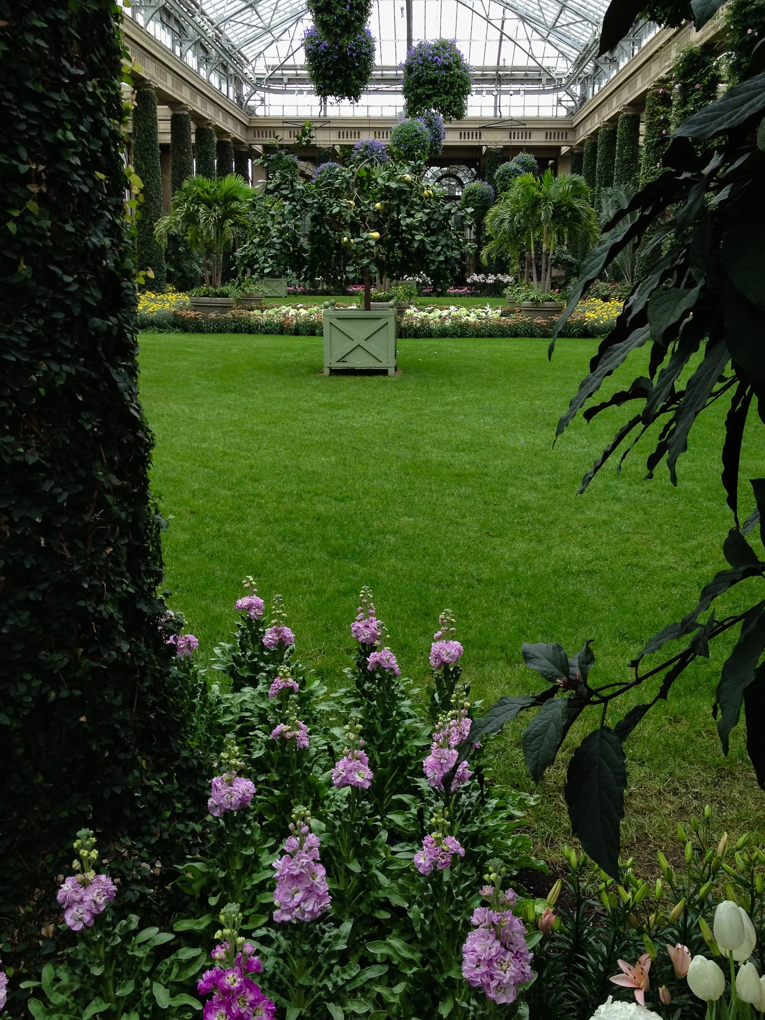 8: View of lawn display from a path