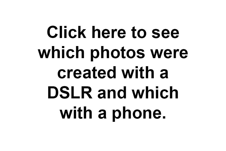 click-here-to-see-which-with-dslr-vs-phone.jpg