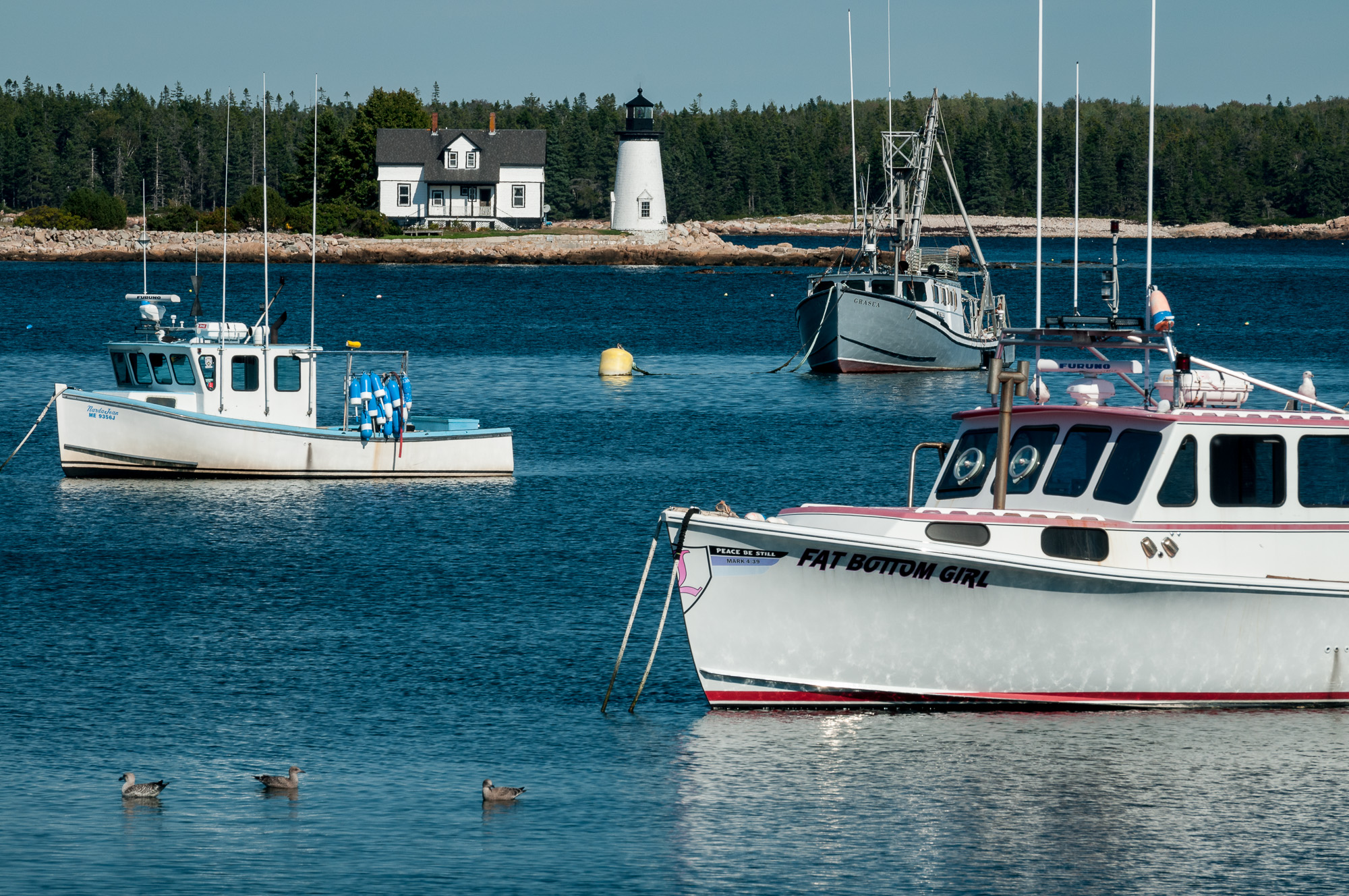 Middle perspective. Prospect Harbor Point Light, a lighthouse in Maine.