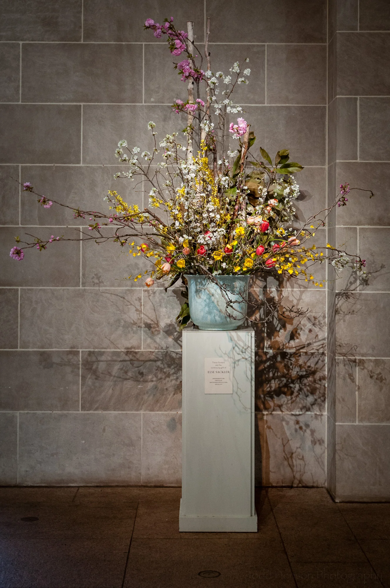 Flower display in the Sackler Gallery entrance. These are a continuing gift of Else Sackler.