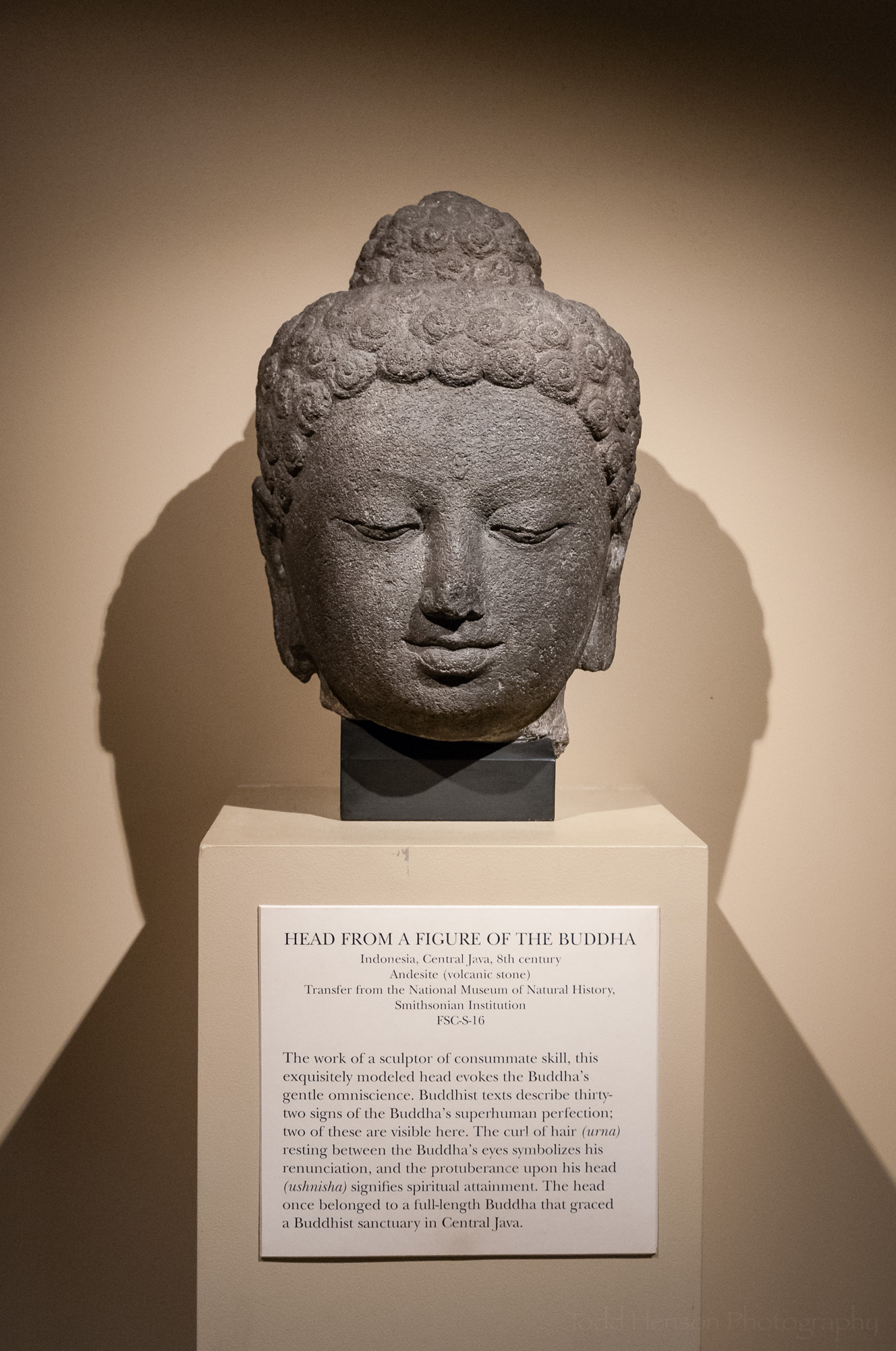 Head From a Figure of the Buddha at the Sackler Museum