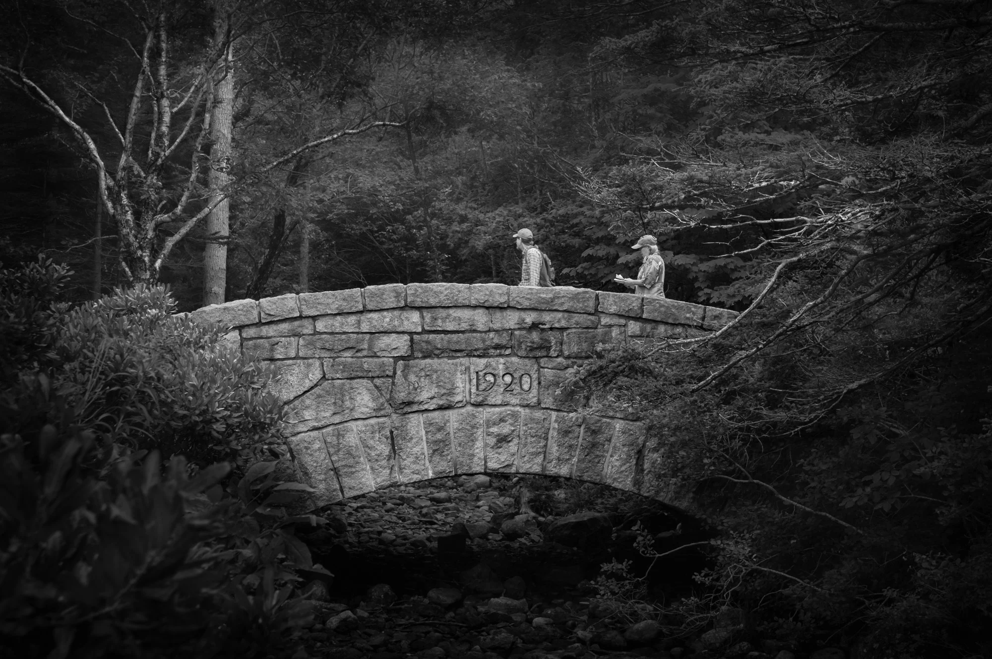 Over the Bridge Through the Woods. Click on the image for a larger view.