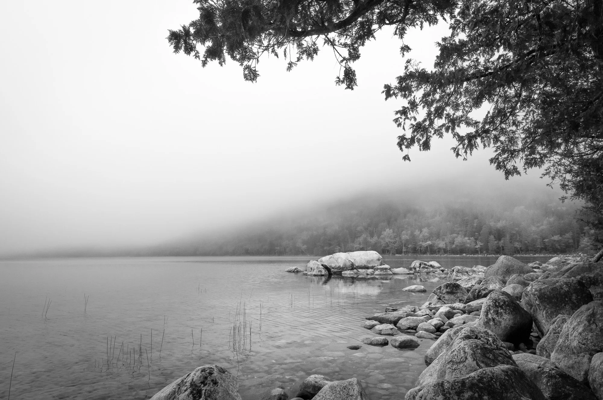 Noontime Fog over Jordan Pond, Acadia National Park, Maine