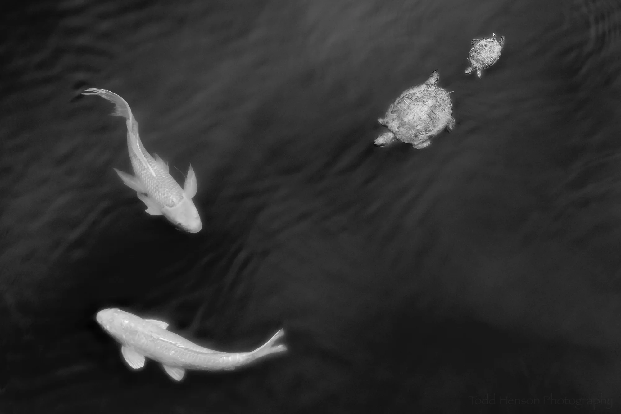 Just Below the Surface