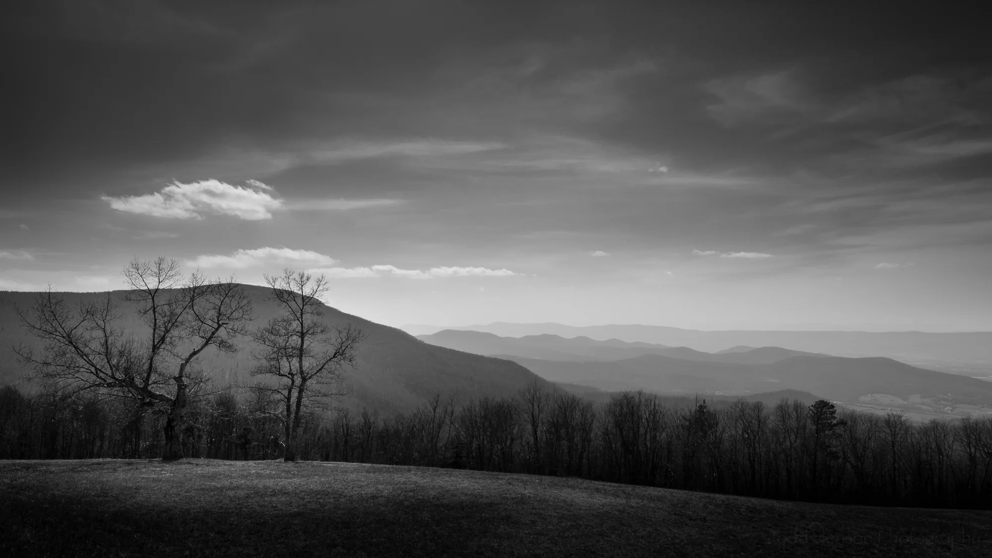 Waiting for Spring, April 2018