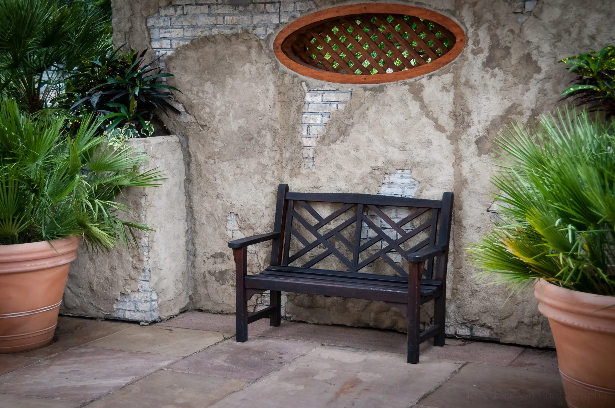 A Bench Beside the Gardens , at the U.S. Botanic Garden