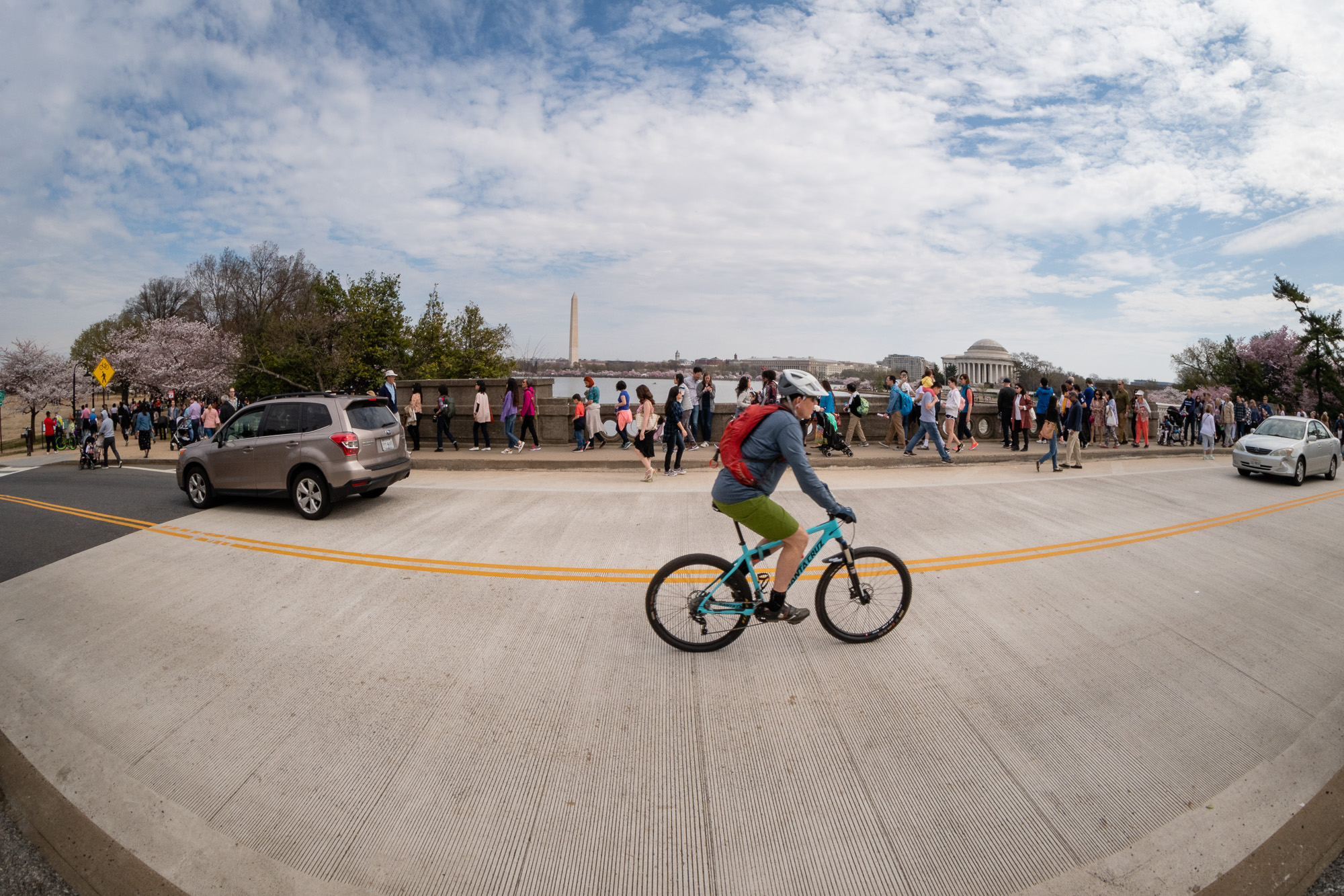 Tidal Basin Inlet Bridge Cherry Blossom Crowds