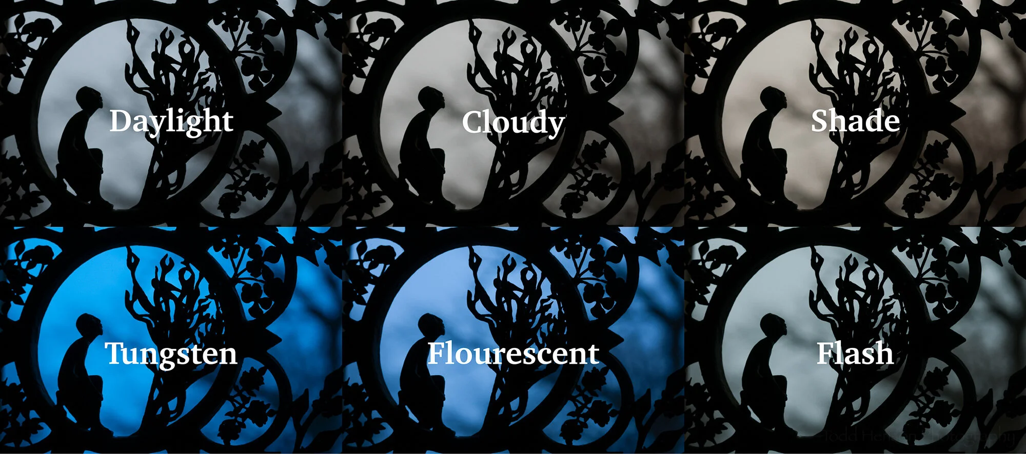 Why Adjust White Balance? — Todd Henson Photography