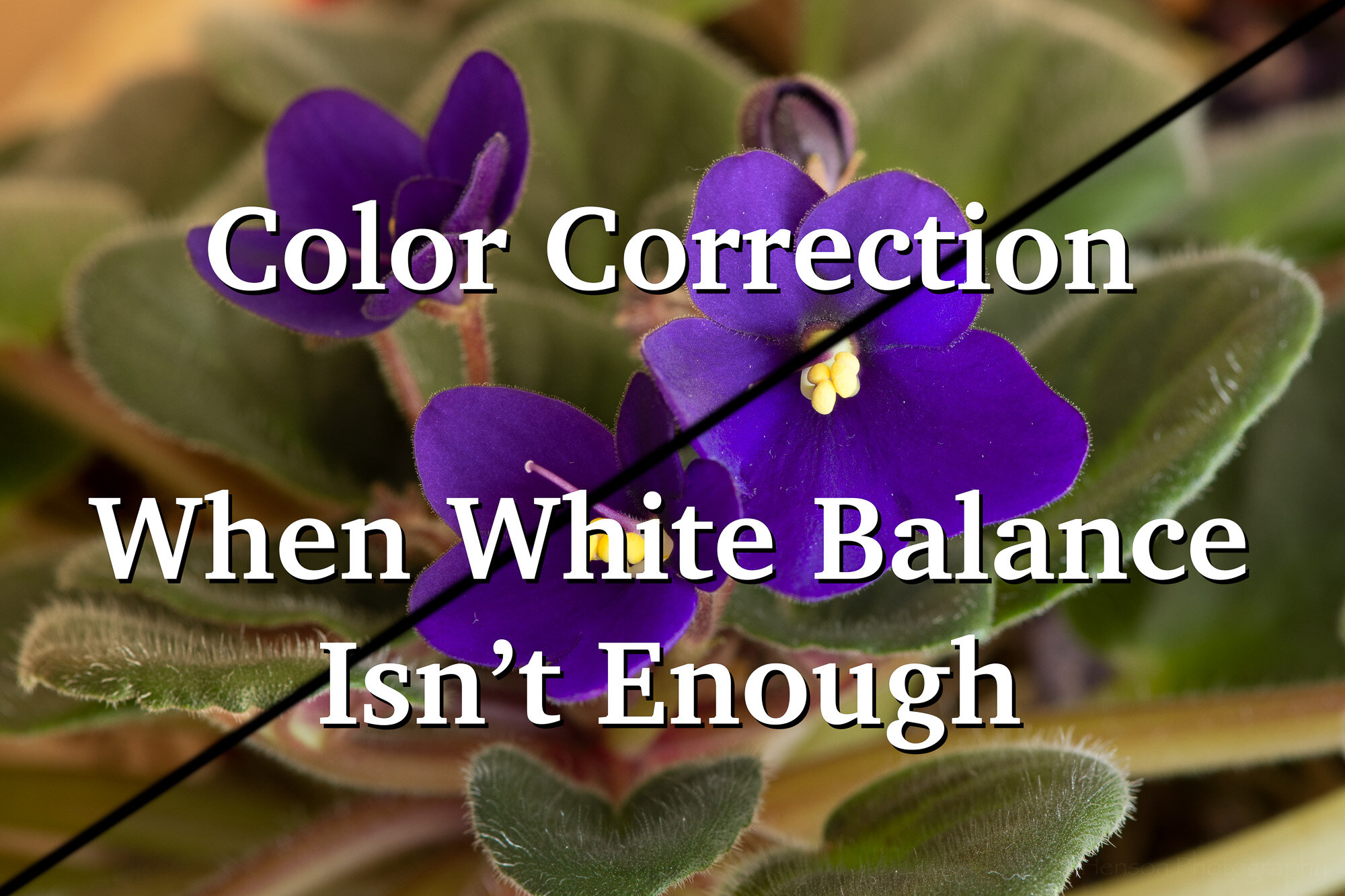 Color Correction When White Balance Isn't Enough