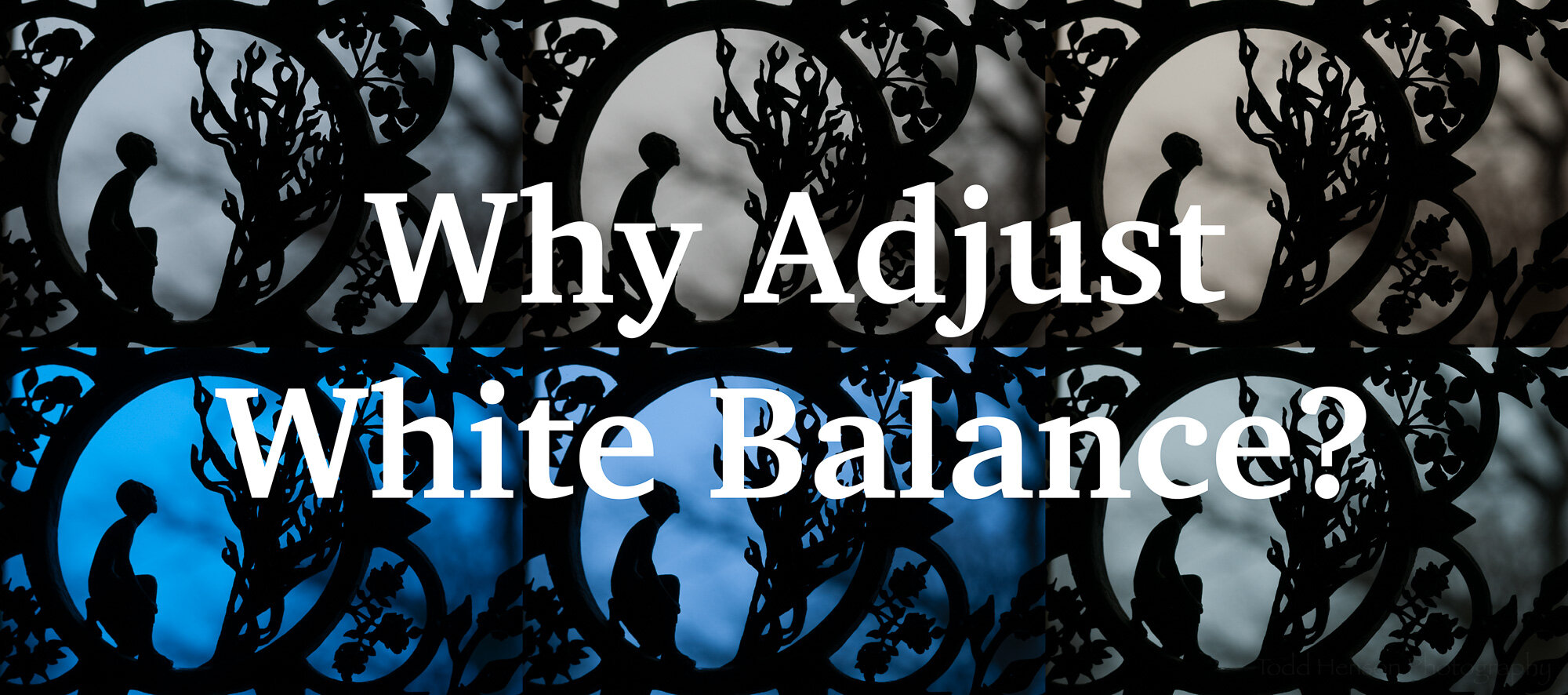 Why Adjust White Balance?