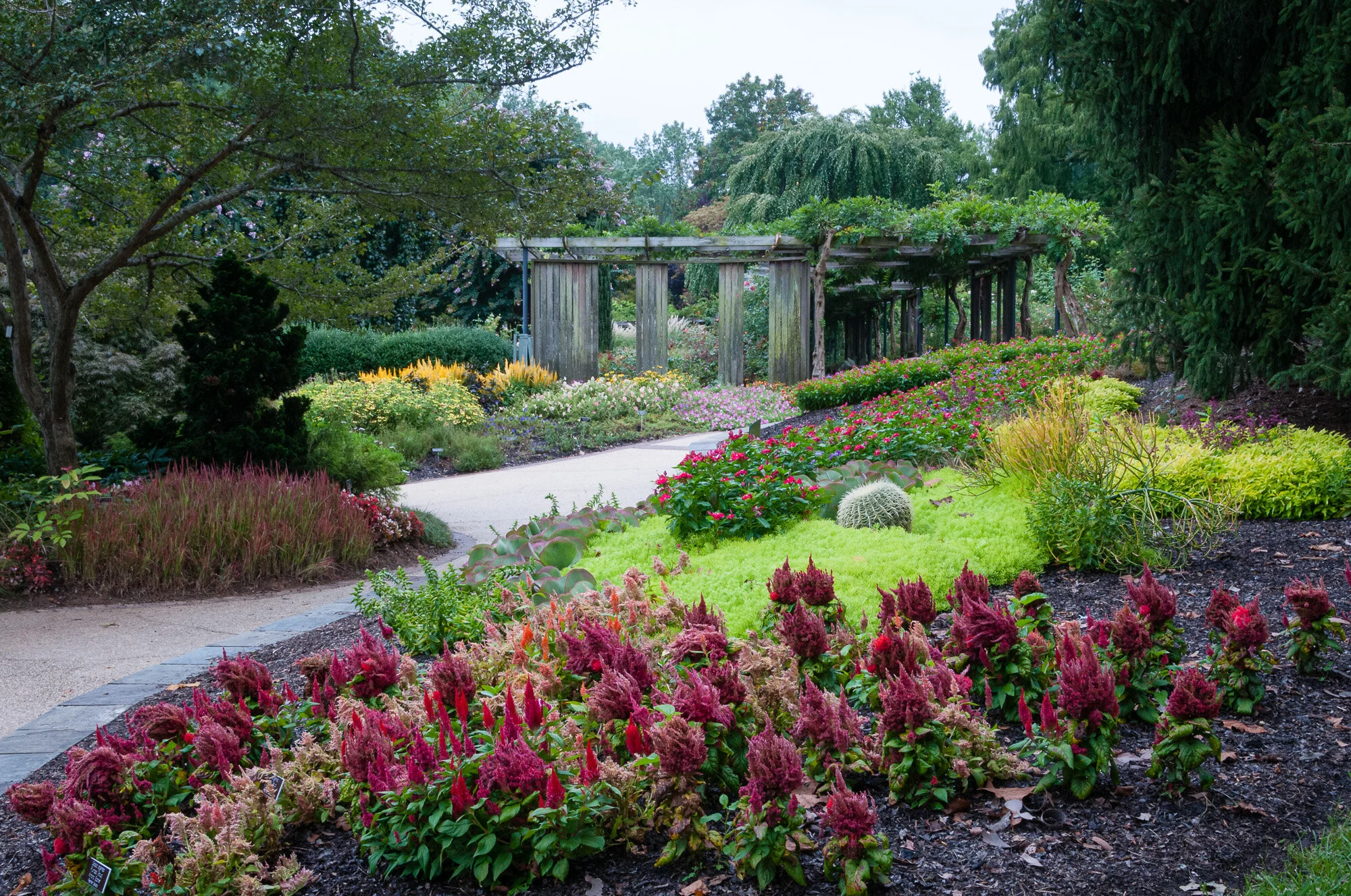 An Example of Working the Scene at Brookside Gardens — Todd Henson