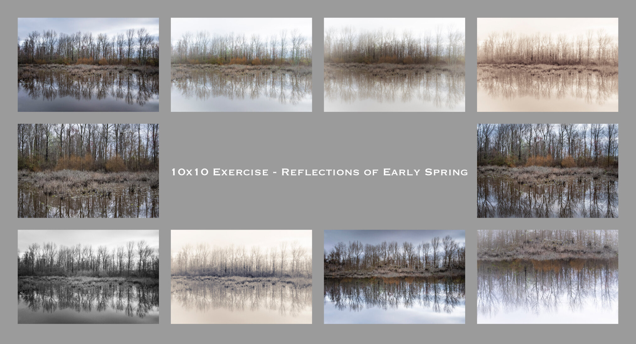 10x10 Exercise - Reflections of Early Spring