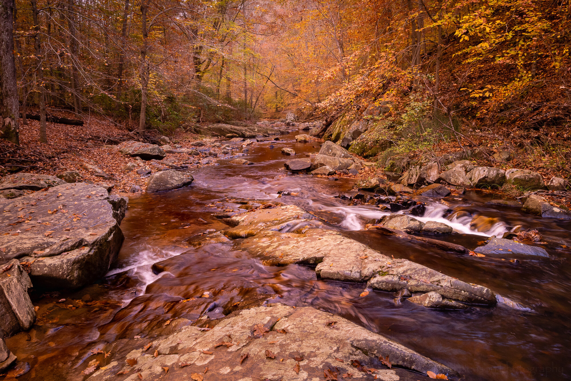  South Fork - The Blue 